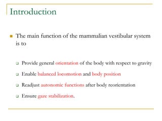 Introduction
 The main function of the mammalian vestibular system
is to
 Provide general orientation of the body with r...
