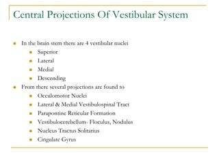 Central Projections Of Vestibular System
 In the brain stem there are 4 vestibular nuclei
 Superior
 Lateral
 Medial
...