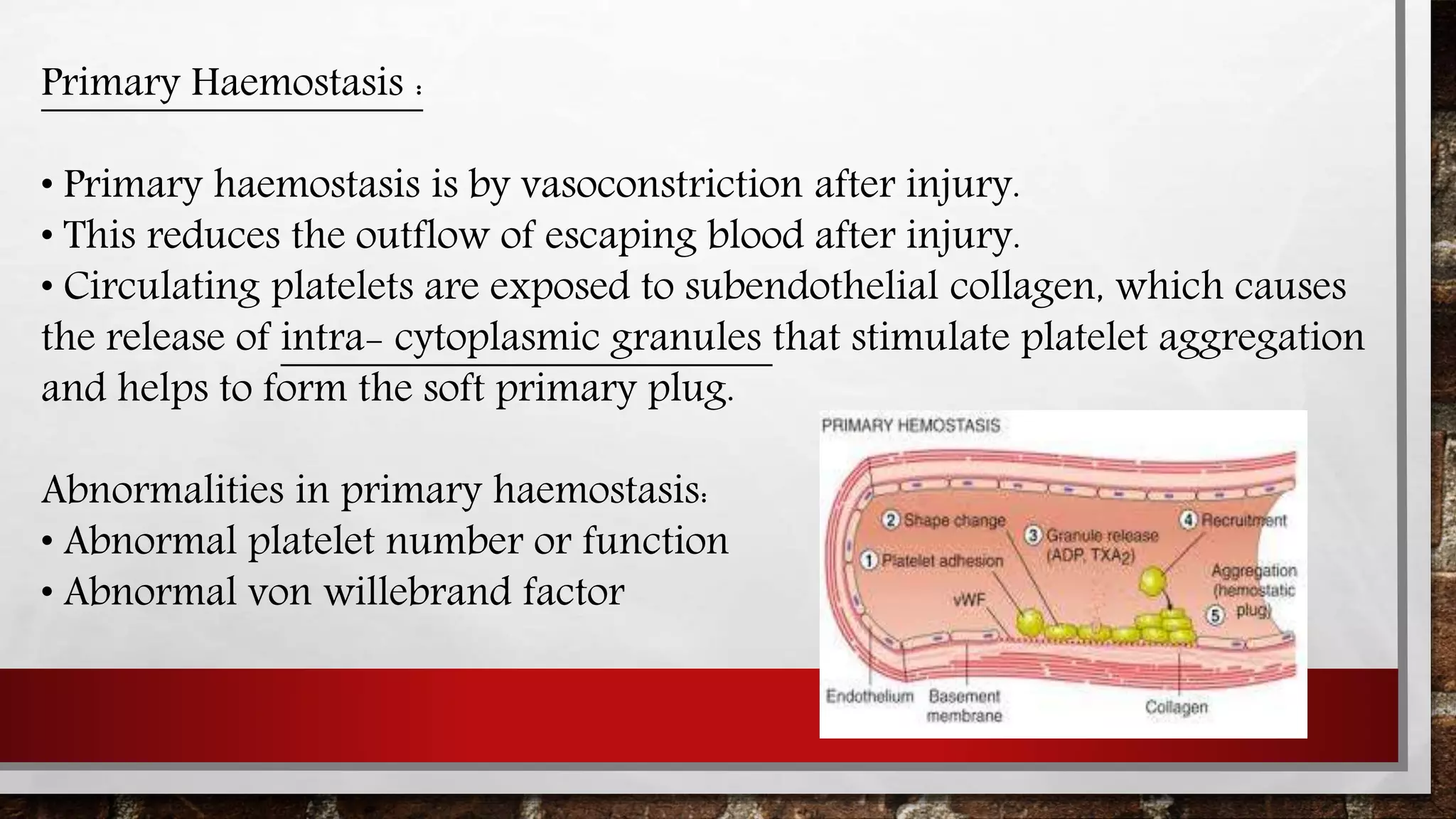 Dyscariasis Mechanism of blood clotting and blood dyscrasias | PPTX
