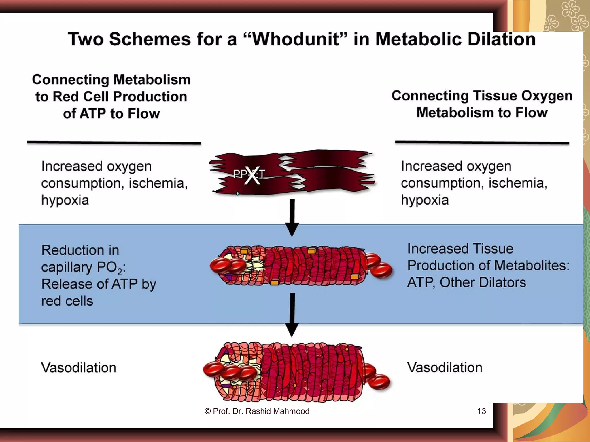© Prof. Dr. Rashid Mahmood 13
 
