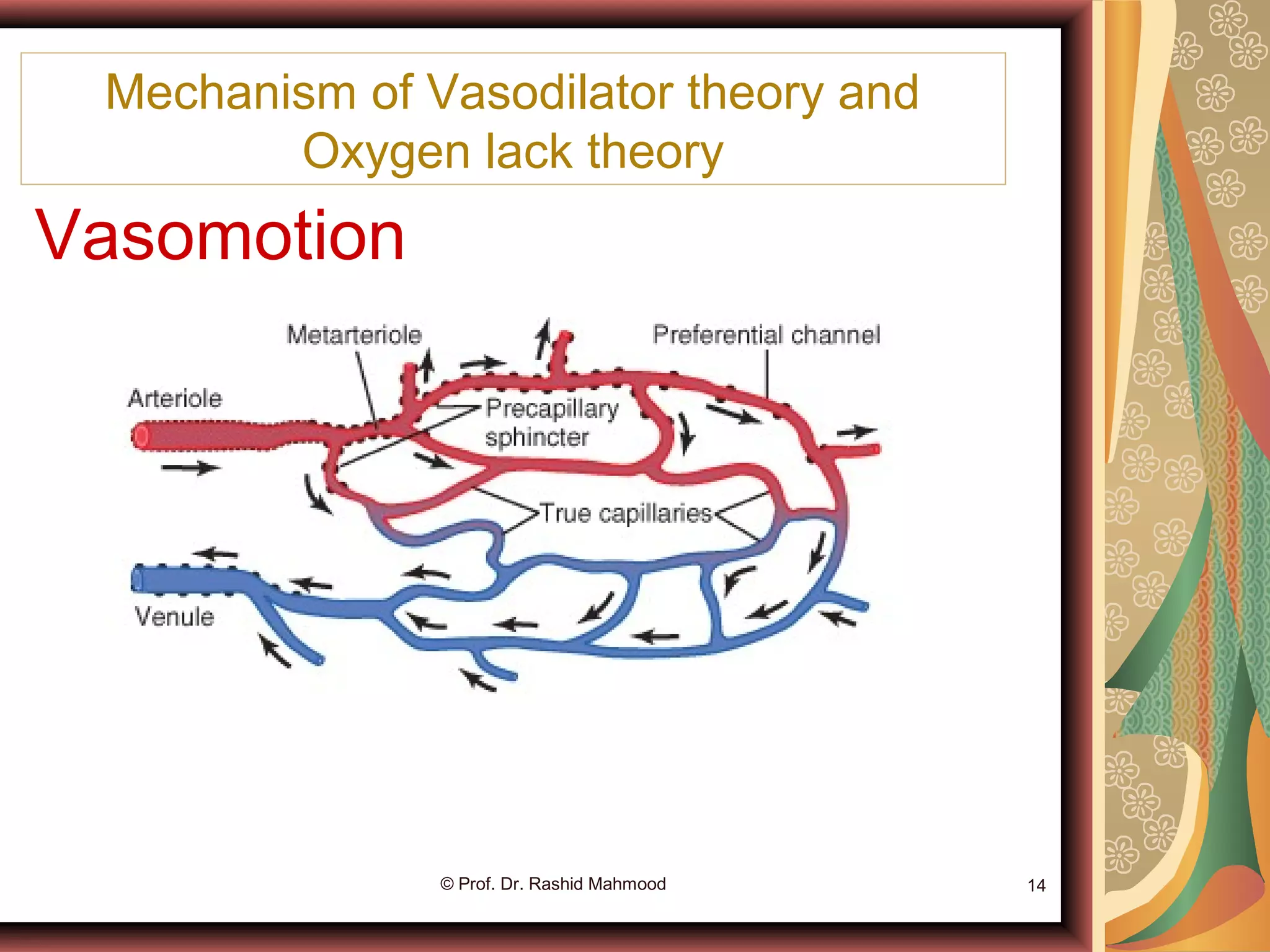 Vasomotion
© Prof. Dr. Rashid Mahmood 14
Mechanism of Vasodilator theory and
Oxygen lack theory
 