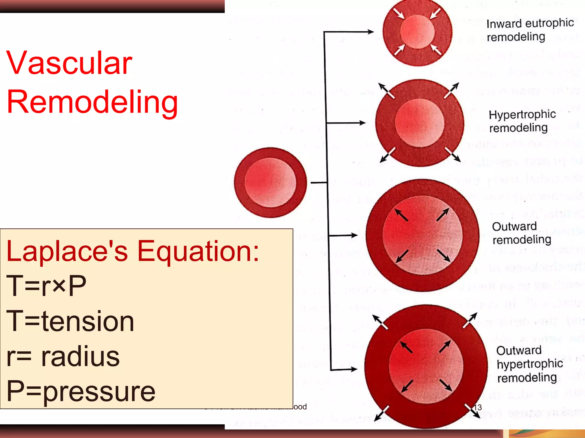 © Prof. Dr. Rashid Mahmood 13
Vascular
Remodeling
Laplace's Equation:
T=r×P
T=tension
r= radius
P=pressure
 