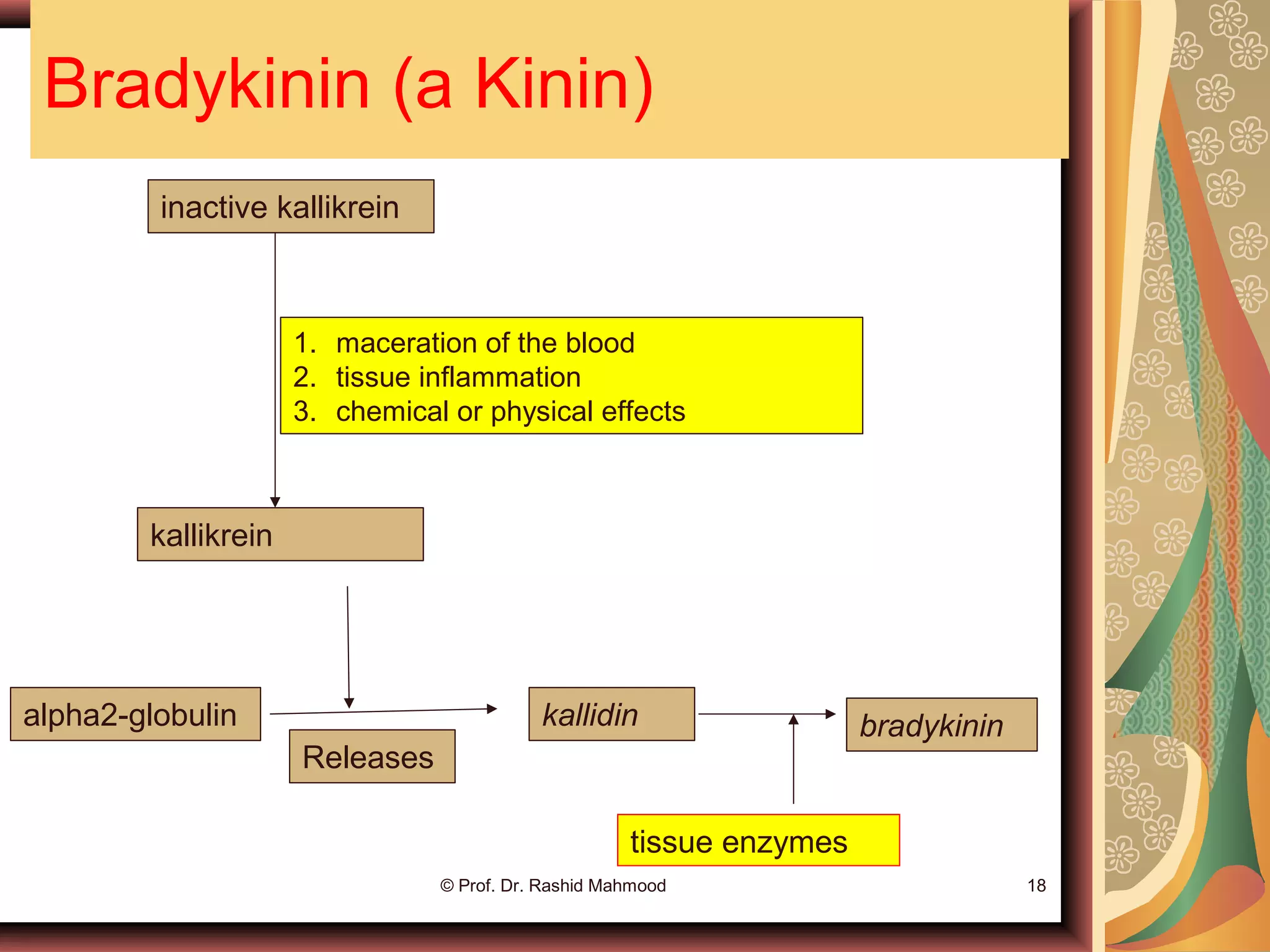 Bradykinin (a Kinin)
© Prof. Dr. Rashid Mahmood 18
inactive kallikrein
kallikrein
1. maceration of the blood
2. tissue inflammation
3. chemical or physical effects
alpha2-globulin
Releases
kallidin bradykinin
tissue enzymes
 
