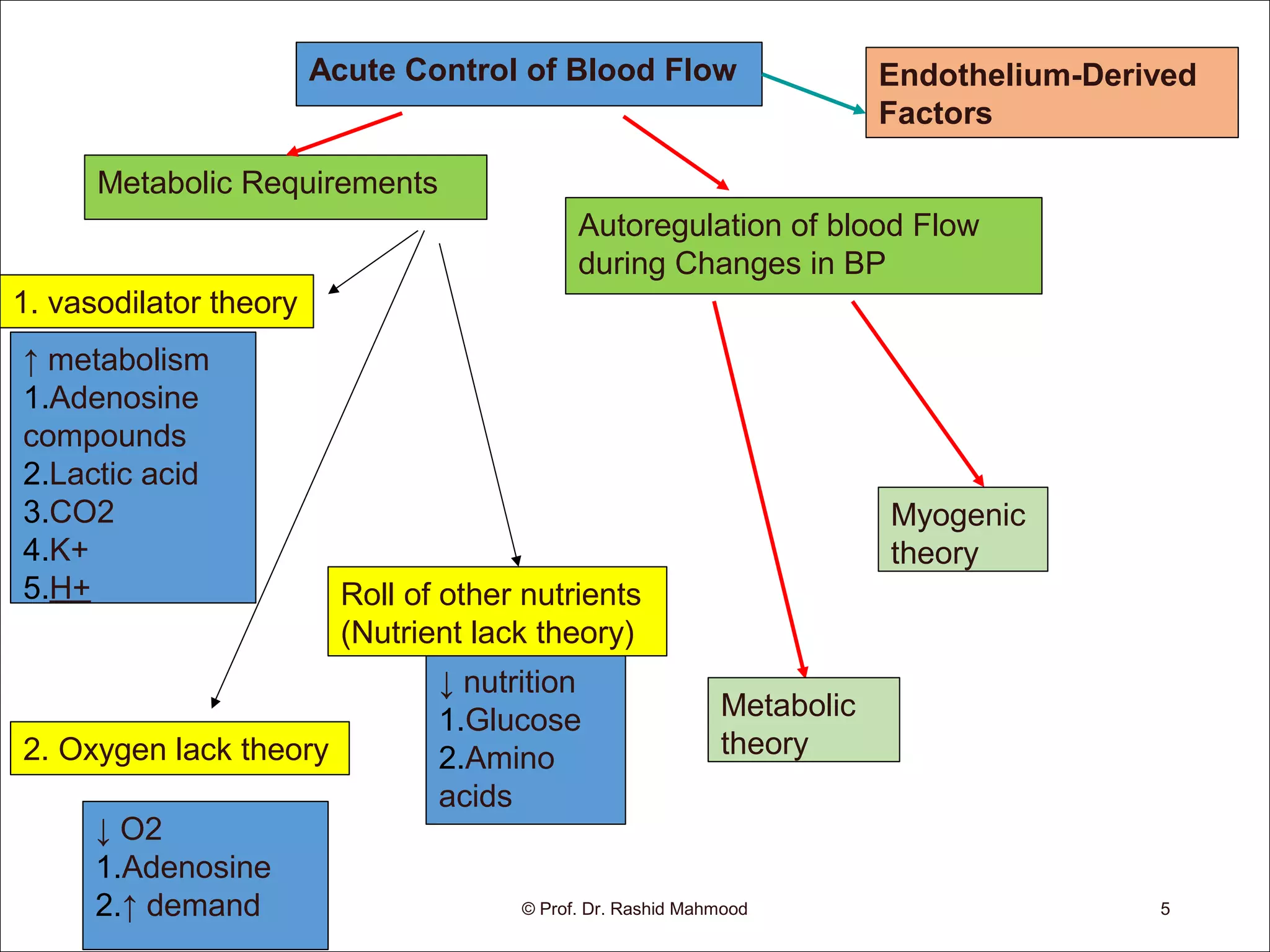 Acute Control of Blood Flow
↑ metabolism
1.Adenosine
compounds
2.Lactic acid
3.CO2
4.K+
5.H+
↓ O2
1.Adenosine
2.↑ demand
↓ nutrition
1.Glucose
2.Amino
acids
Autoregulation of blood Flow
during Changes in BP
Metabolic
theory
Myogenic
theory
© Prof. Dr. Rashid Mahmood 5
1. vasodilator theory
2. Oxygen lack theory
Roll of other nutrients
(Nutrient lack theory)
Metabolic Requirements
Endothelium-Derived
Factors
 