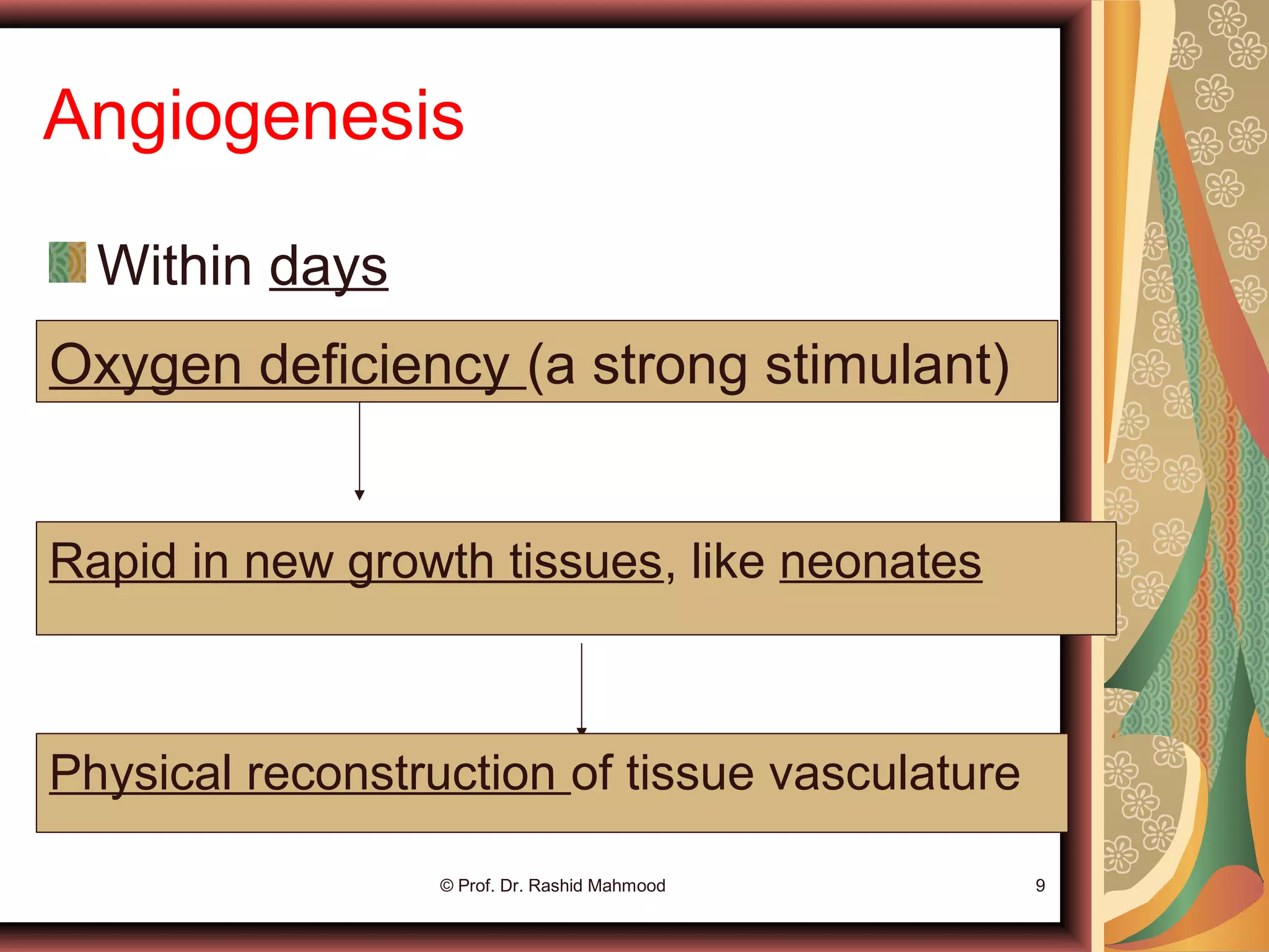 Angiogenesis
Within days
© Prof. Dr. Rashid Mahmood 9
Oxygen deficiency (a strong stimulant)
Rapid in new growth tissues, like neonates
Physical reconstruction of tissue vasculature
 