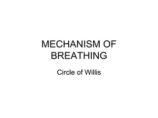 MECHANISM OF
BREATHING
Circle of Willis
 