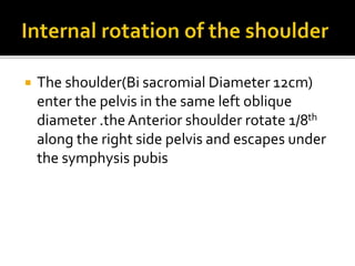 Mechanism of Breech.pptx