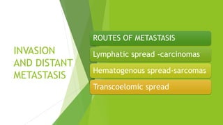 Mechanism of cancer 1-2.pptx