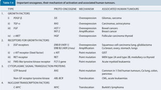 Mechanism of cancer 1-2.pptx
