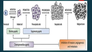 Mechanism of cancer development pdf | PDF