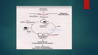 Mechanism of cancer development pdf | PDF