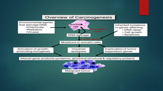 Mechanism of cancer development pdf | PDF