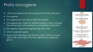 Mechanism of cancer development pdf | PDF