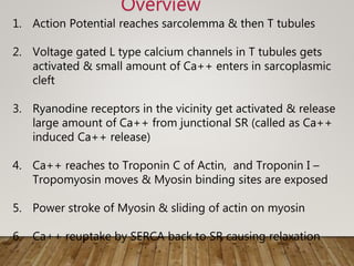 Mechanism of cardiac contraction dr vaibhav yawalkar | PPTX