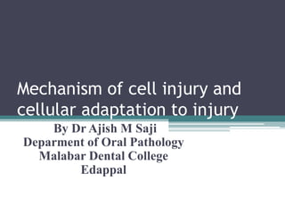 Mechanism of cell injury and
cellular adaptation to injury
By Dr Ajish M Saji
Deparment of Oral Pathology
Malabar Dental College
Edappal
 