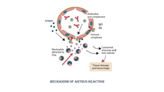 mechanism of cell injury.pptx important when cell inury occure it is ...