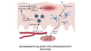 mechanism of cell injury.pptx important when cell inury occure it is ...
