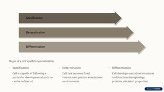 Mechanism of Cellular Differentiation.pdf