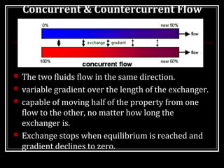 MECHANISM OF CONCENTRATION OF URINE | PPT | Endocrine and Metabolic ...
