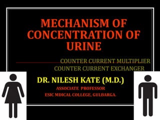 MECHANISM OF
CONCENTRATION OF
URINE
COUNTER CURRENT MULTIPLIER
COUNTER CURRENT EXCHANGER
DR. NILESH KATE (M.D.)
ASSOCIATE PROFESSOR
ESIC MDICAL COLLEGE, GULBARGA.
 