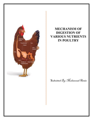 MECHANISM OF
DIGESTION OF
VARIOUS NUTRIENTS
IN POULTRY
Submitted By; Muhammad Awais
 