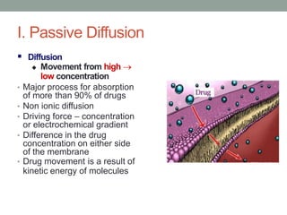 I. Passive Diffusion
 Diffusion
 Movement from high 
low concentration
• Major process for absorption
of more than 90% ...
