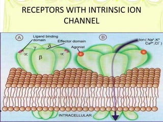 RECEPTORS WITH INTRINSIC ION
CHANNEL

 