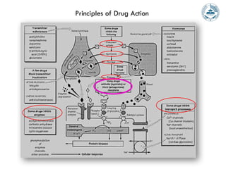 Mechanism of Drug Receptor Binding and Action.pptx
