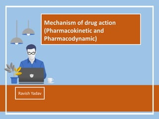 Mechanism of drug action
(Pharmacokinetic and
Pharmacodynamic)
Ravish Yadav
 