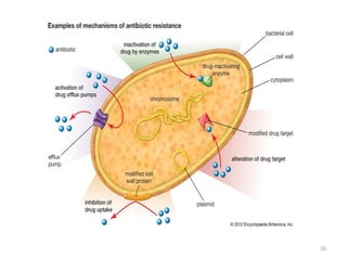 mechanism of Antibiotic resistance . | PPTX