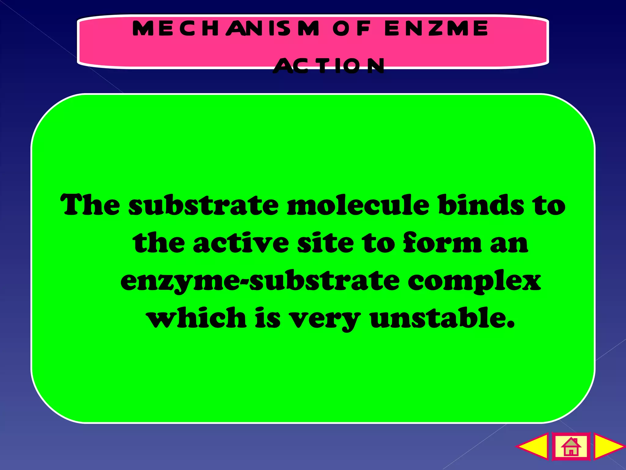 M E C H AN IS M O F E N ZM E
               AC TIO N



The substrate molecule binds to
    the active site to form an
   enzyme-substrate complex
     which is very unstable.
 