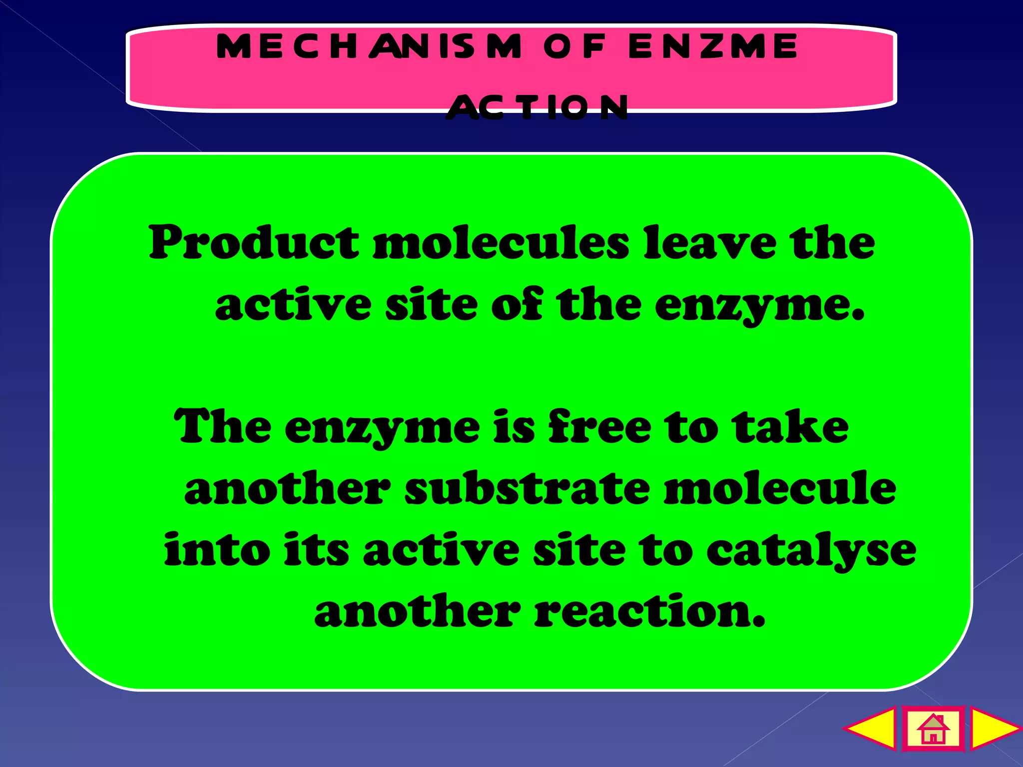 M E C H AN IS M O F E N ZM E
             AC TIO N

Product molecules leave the
  active site of the enzyme.

 The enzyme is free to take
 another substrate molecule
into its active site to catalyse
       another reaction.
 