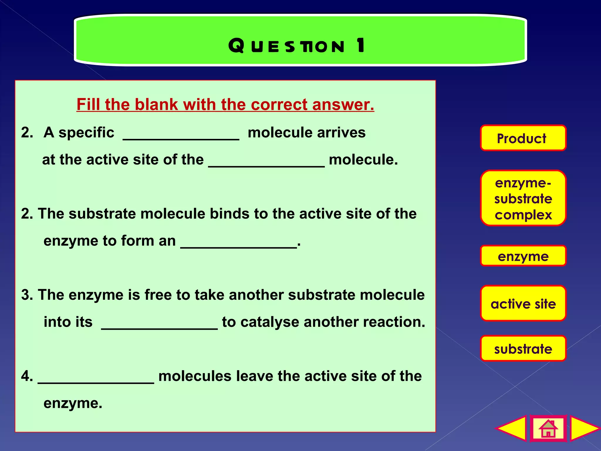 Q u e s tion 1
       Fill the blank with the correct answer.
2. A specific ______________ molecule arrives                Product
   at the active site of the ______________ molecule.
                                                            enzyme-
                                                            substrate
2. The substrate molecule binds to the active site of the   complex
   enzyme to form an ______________.
                                                             enzyme

3. The enzyme is free to take another substrate molecule
                                                            active site
   into its ______________ to catalyse another reaction.
                                                            substrate

4. ______________ molecules leave the active site of the
   enzyme.
 