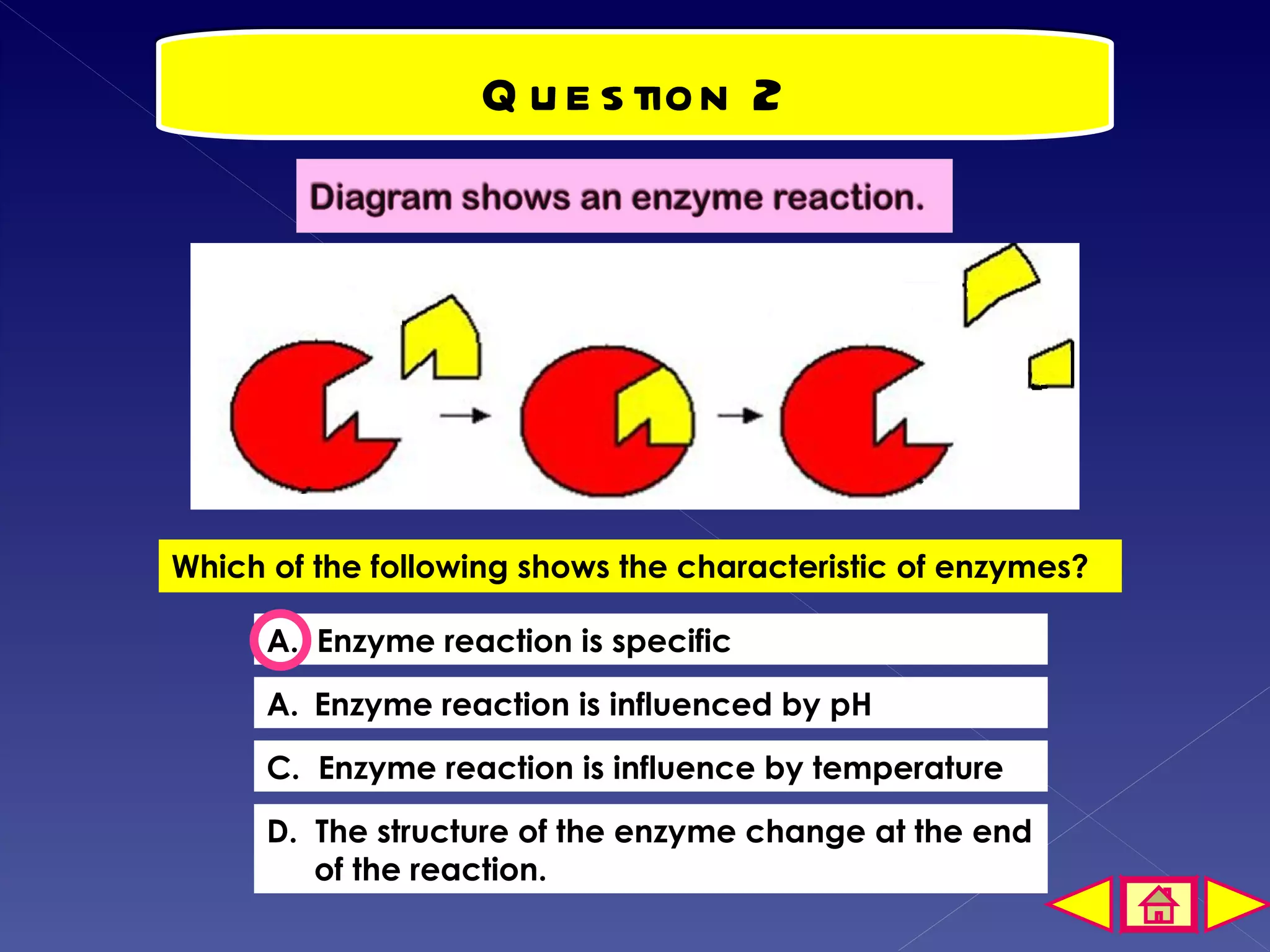 Q u e s tion 2




Which of the following shows the characteristic of enzymes?

      A. Enzyme reaction is specific

      A. Enzyme reaction is influenced by pH

      C. Enzyme reaction is influence by temperature

      D. The structure of the enzyme change at the end
         of the reaction.
 