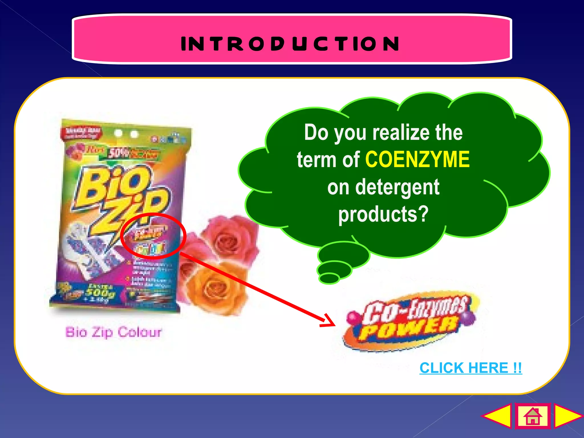 IN TR O D U C TIO N


           Do you realize the
          term of COENZYME
             on detergent
              products?




                       CLICK HERE !!
 