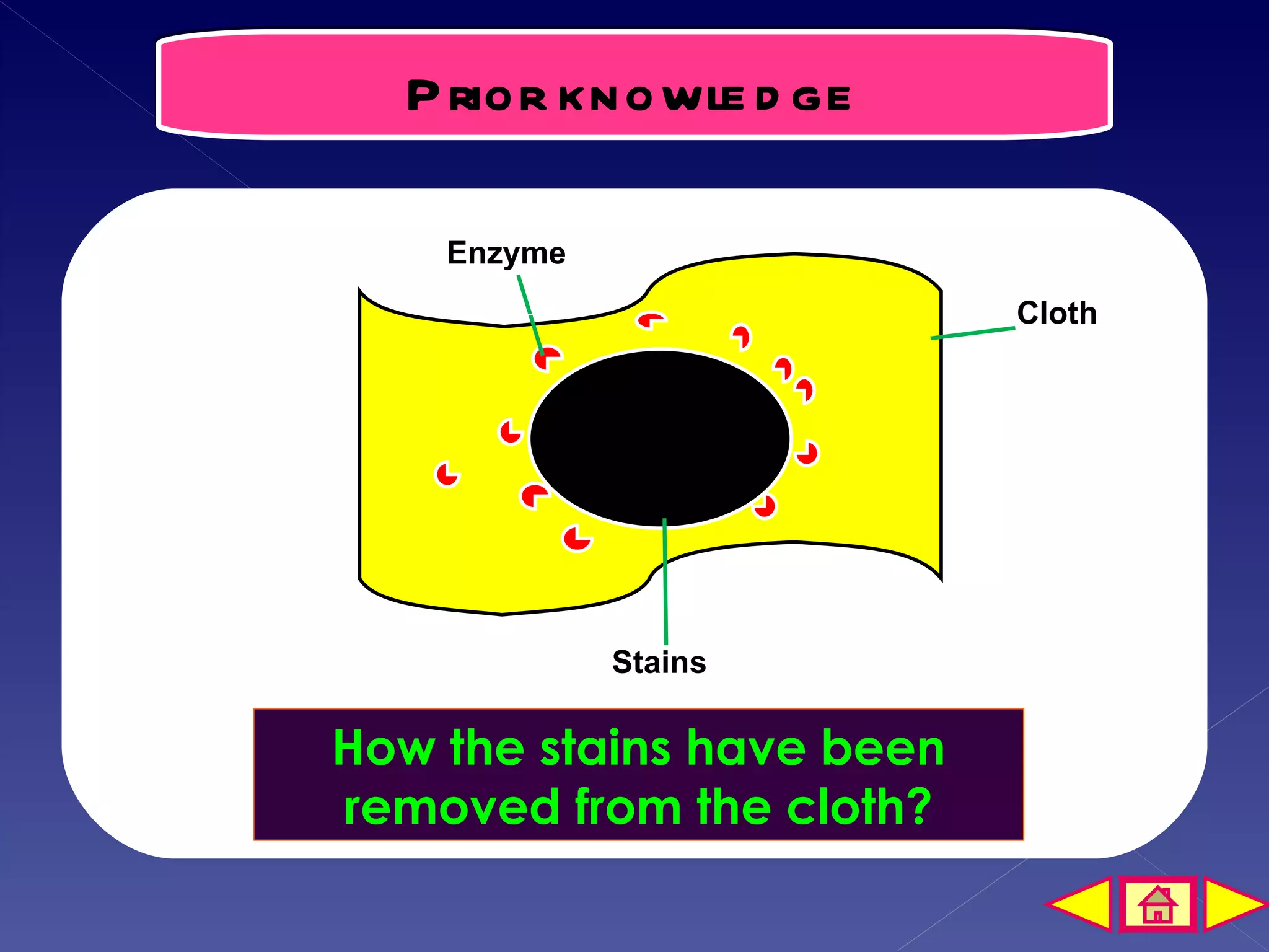 P rior knowle d ge

    Enzyme
    s
                           Cloth




             Stains

How the stains have been
removed from the cloth?
 