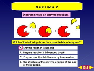 Mechanism of Enzyme Action | PPT