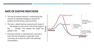 Mechanism of Enzyme Action 00.pptx