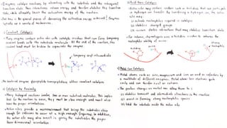 Mechanism of Enzyme Action.pptx . | PPTX
