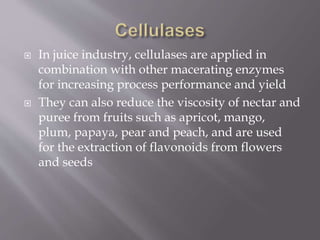 Mechanism of enzyme and function in food processing | PPTX