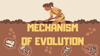 MECHANISM
OF EVOLUTION
 