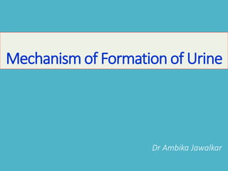 Mechanism of Formation of Urine
Dr Ambika Jawalkar
 