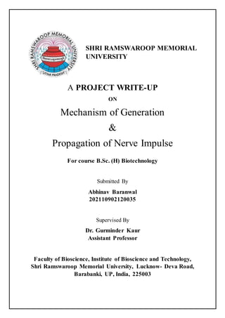 A PROJECT WRITE-UP
ON
Mechanism of Generation
&
Propagation of Nerve Impulse
For course B.Sc. (H) Biotechnology
Submitted By
Abhinav Baranwal
202110902120035
Supervised By
Dr. Gurminder Kaur
Assistant Professor
Faculty of Bioscience, Institute of Bioscience and Technology,
Shri Ramswaroop Memorial University, Lucknow- Deva Road,
Barabanki, UP, India, 225003
SHRI RAMSWAROOP MEMORIAL
UNIVERSITY
 