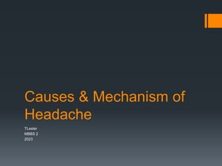 Causes & Mechanism of
Headache
TLester
MBBS 2
2023
 