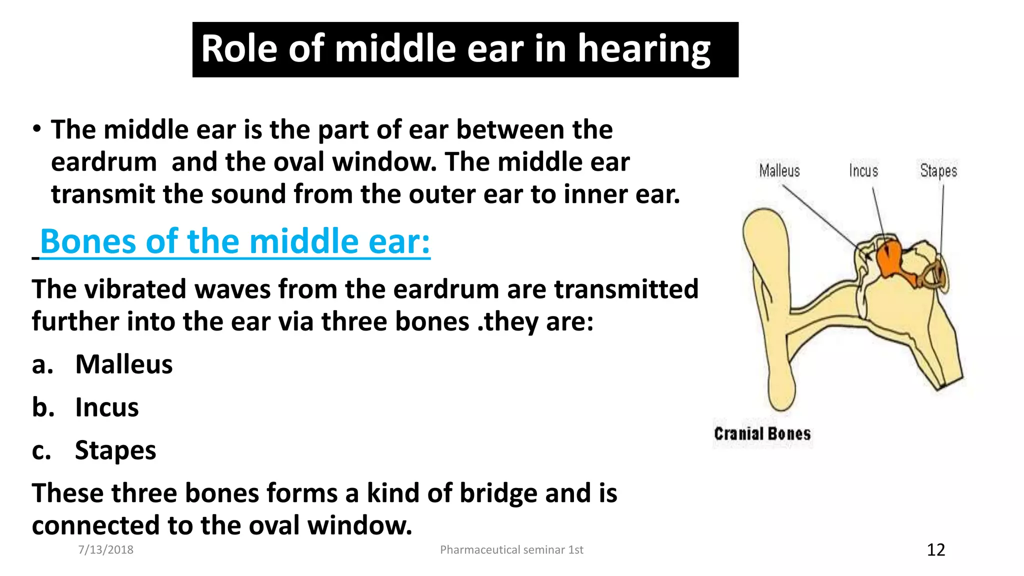 Role of middle ear in hearing
• The middle ear is the part of ear between the
eardrum and the oval window. The middle ear
transmit the sound from the outer ear to inner ear.
Bones of the middle ear:
The vibrated waves from the eardrum are transmitted
further into the ear via three bones .they are:
a. Malleus
b. Incus
c. Stapes
These three bones forms a kind of bridge and is
connected to the oval window.
Pharmaceutical seminar 1st 127/13/2018
 