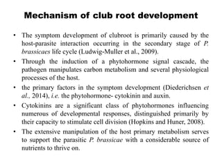 Mechanism of hypertrophy symptoms in various host pathogen interaction ...