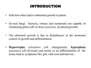 hyperplasia in plants
