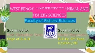 WEST BENGAL UNIVERSITY OF ANIMAL AND
FISHERY SCIENCES
Faculty of Fishery Sciences
Submitted to:
Prof. Gadadhar Dash
Dept of A.A.H
Submitted by:
Shrija Majumder
B.F.Sc 2nd Year,
F/2021/30
 