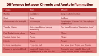 Mechanism of Infection & Inflammation.pdf