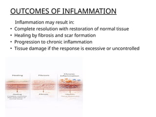 Inflammation Reflection Mechanism_of_Inflammation_Detailed_PPT (1).pptx
